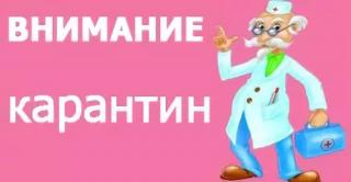 О приостановлении образовательного процесса